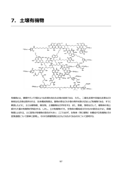 7. 土壌有機物