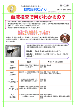 血液検査で何がわかるの？ - 犬山動物総合医療センター
