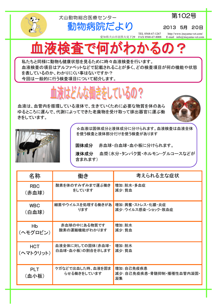 血液検査で何がわかるの 犬山動物総合医療センター