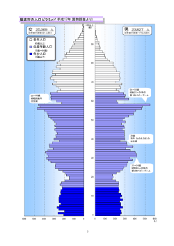 砺波市の人口ピラミッド（平成17年 国勢調査より） 老年人口 生産年齢
