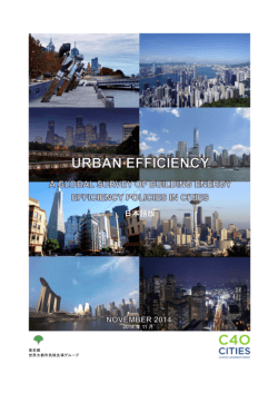 Electrical cables for motor vehicles