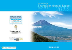 Tsurushin Report 2015
