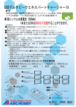 USBデルタピークエキスパートチャージャー1A
