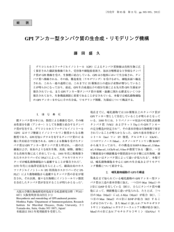GPI アンカー型タンパク質の生合成・リモデリング機構