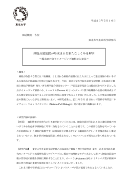 細胞分裂装置が形成される新たなしくみを解明