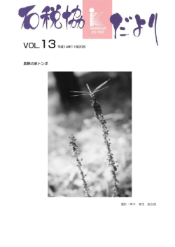 長野の赤トンボ - 日本税協連ネット