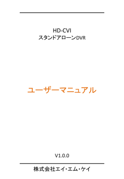 (6) HD-CVIレコーダーユーザーマニュアル