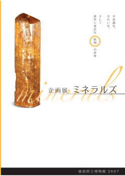 PDFファイルのダウンロード（2.1MB）