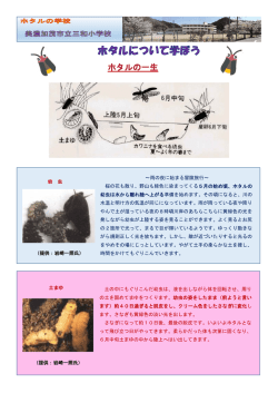 ～雨の夜に始まる冒険旅行～ 桜の花も散り、野山も緑色に染まってくる5