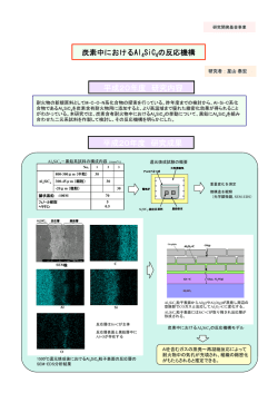 炭素中におけるAl 4 SiC 4 の反応機構