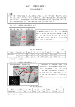 (40) 材料評価例-1