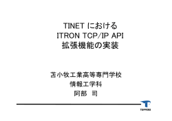 TINET における ITRON TCP/IP API 拡張機能の実装