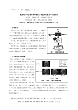 食品成分の抗酸化能の遺伝子改変酵母を用いた測定法 O2