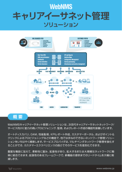 キャリアイーサネット管理