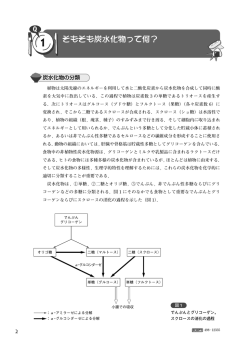 炭水化物の分類