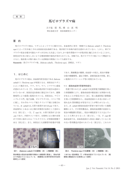 馬ピロプラズマ病 - 日本獣医寄生虫学会