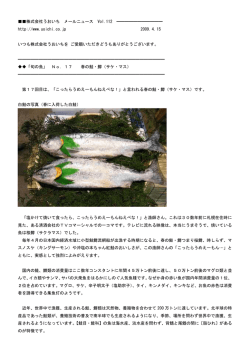春の鮭鱒 - うおいち
