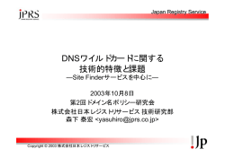 DNSワイルドカードに関する 技術的特徴と課題