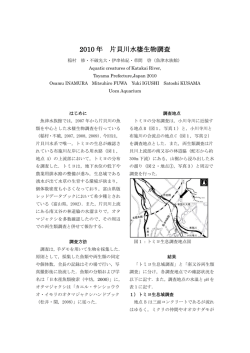2010 年 片貝川水棲生物調査