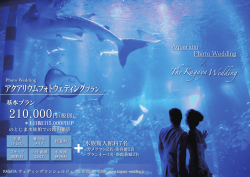 アクアリウムフォトウェディング - The Kagaya Wedding