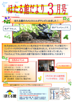 ほたる館のカメとカエルがテレビに出ました！