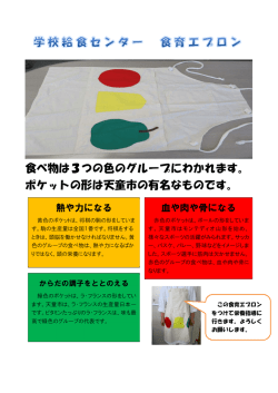 食べ物は3つの色のグループにわかれます。 ポケットの形は天童市の