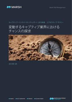 2013年版キャプティブ・ベンチマーキング・レポート