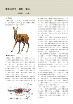 麝香の恩恵－薬物と薫物