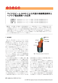 マイクロビーム SAXS による毛髪の微細構造解析と