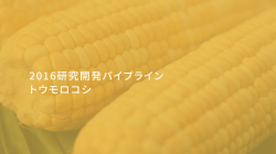 第4世代除草剤耐性トウモロコシ