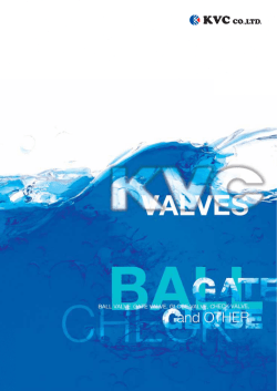 CAST STEEL VALVE - 総合バルブメーカー 株式会社ケイヴイシー