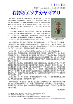 石狩のエゾアカヤマアリ