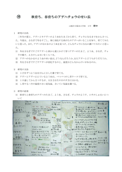 秋育ち、春育ちのアゲハチョウのせい長