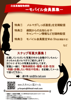 PowerPoint プレゼンテーション