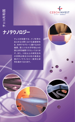 Nano-Jap 2012.indd