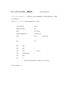 コロニーダイレクト PCR （酵母用）