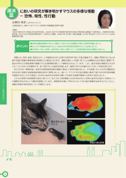発表内容はこちら（280KB,PDF形式）