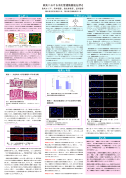 研究発表ポスター