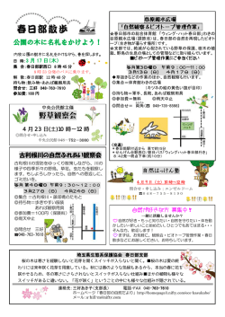 野草観察会 - 春日部の自然/埼玉県生態系保護協会 春日部支部