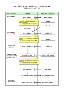実施スケジュール(予定） 平成28年度 東京都介護職員キャリアパス導入