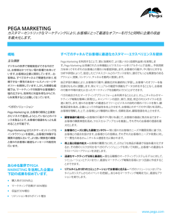 PDF - Pegasystems