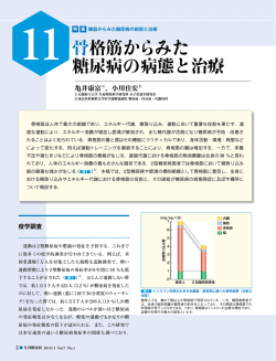 骨格筋からみた 糖尿病の病態と治療 - 京都府立大学生命環境科学研究