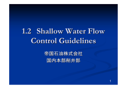 1.2 Shallow Water Flow Control Guidelines