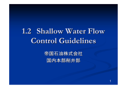 1.2 Shallow Water Flow Control Guidelines