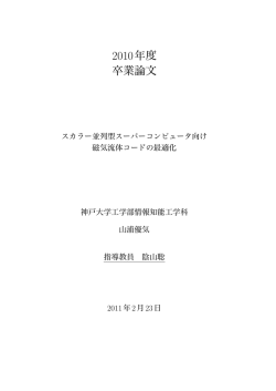 2010年度 卒業論文