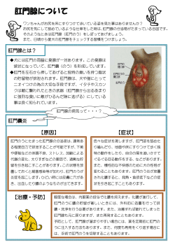 肛門腺について