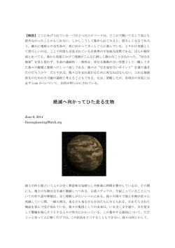 絶滅へ向かってひた走る生物