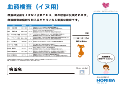 血液検査（イヌ用）