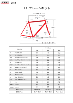 F1 フレームキット 2014