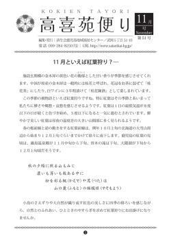 51号